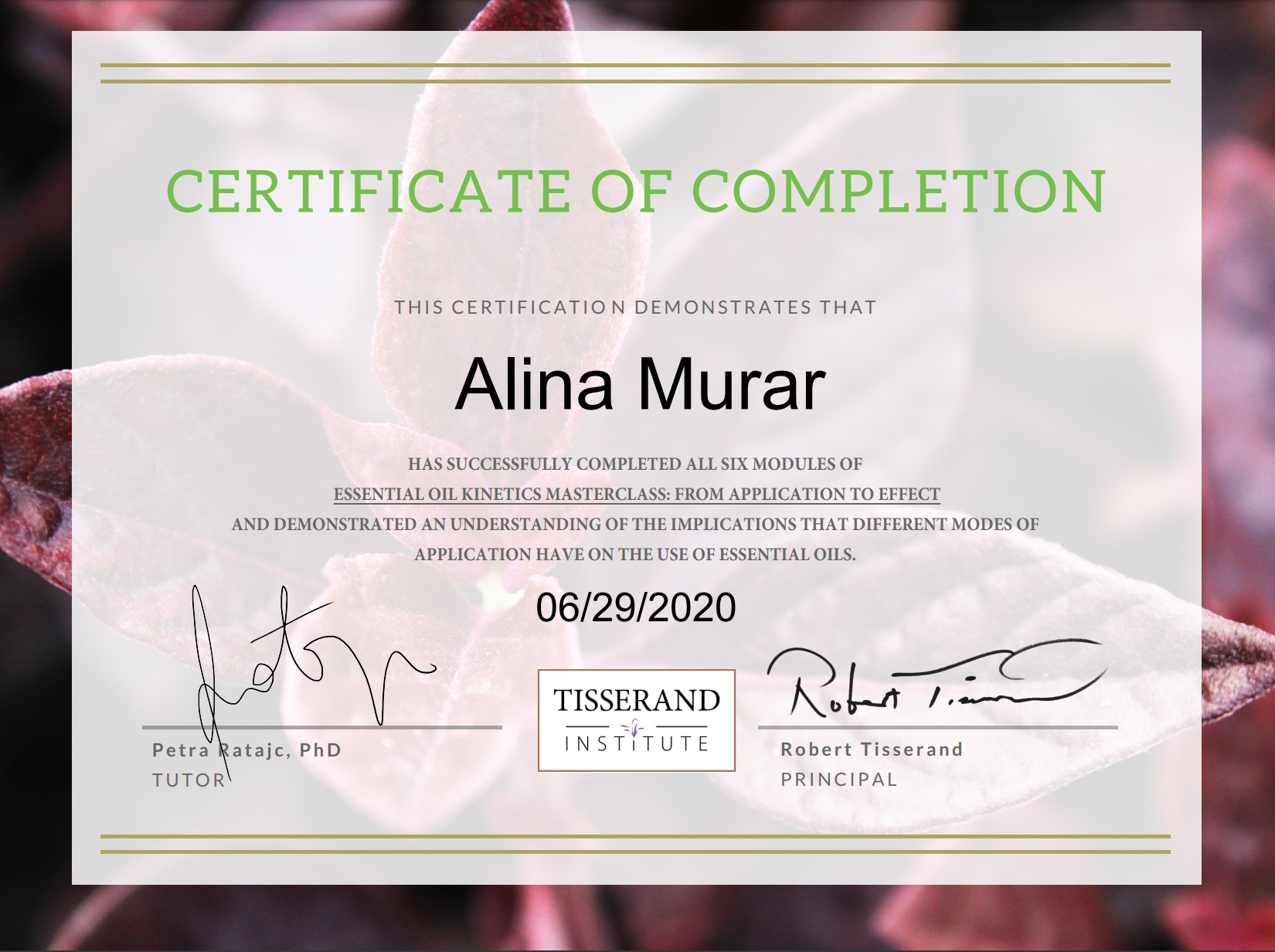 Essential Oil Kinetics Masterclass certificate